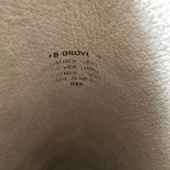 Freebird by Steven Drove - Picture 4 of 6